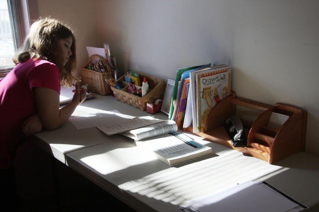 Parents, teachers struggle to cope with working and schooling their children from home