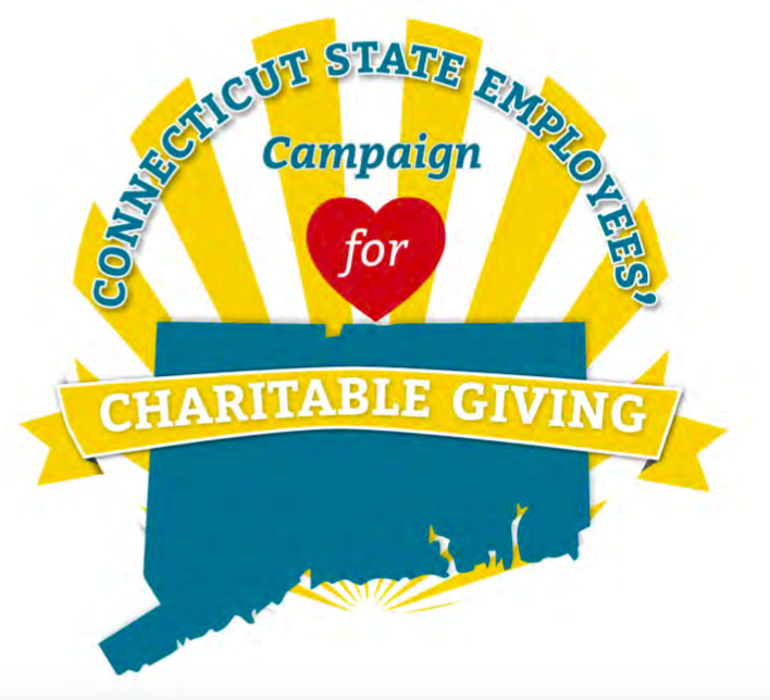 Reporting problems found at State Employee Campaign for Charitable Giving