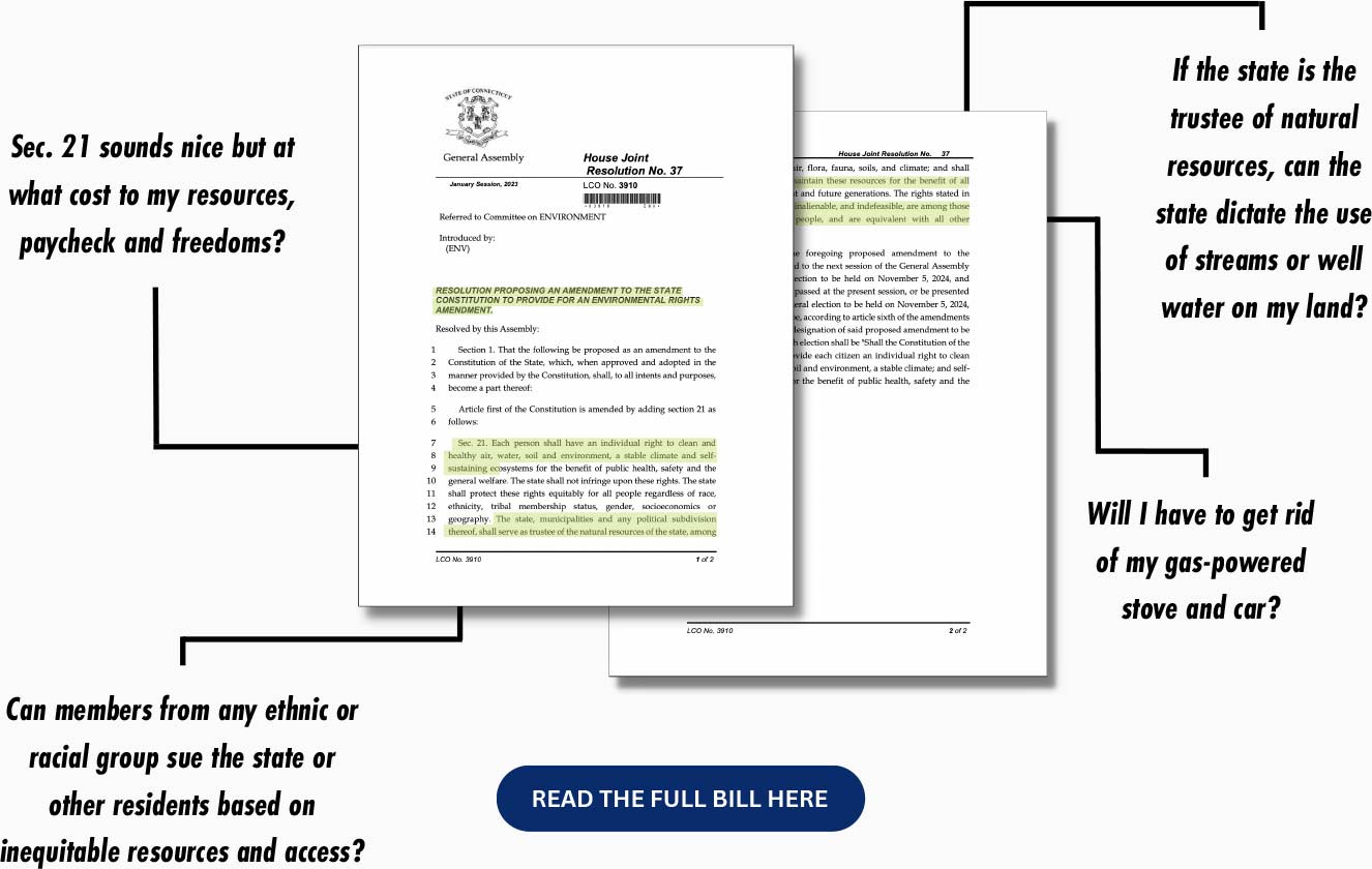 YI-GreenConstitutional-Amendment-Desktop-2