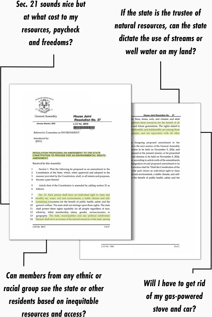 YI-GreenConstitutional-Amendment-Mobile-2