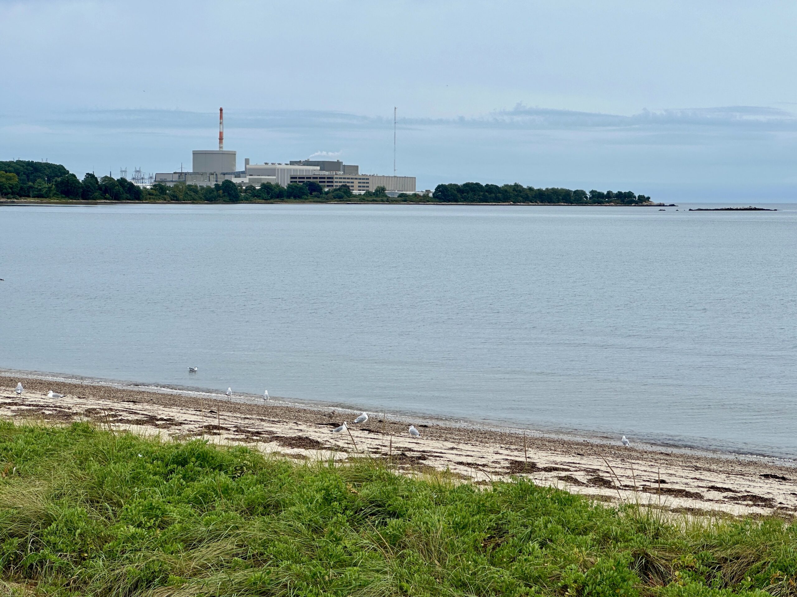 ‘I Need More Power’: Connecticut’s Current Energy Policies Explained & Solutions